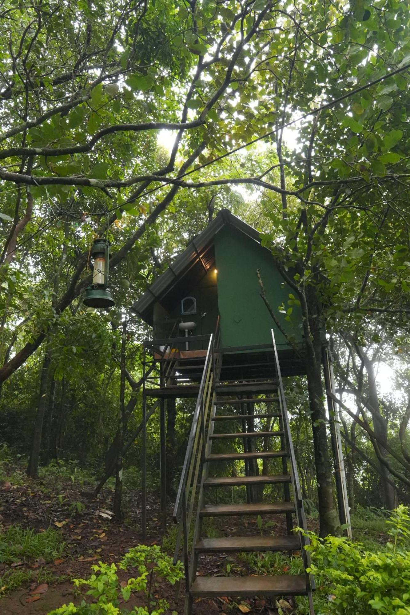 Regina Silva Camping & Nature Resort Paithalmala Esterno foto